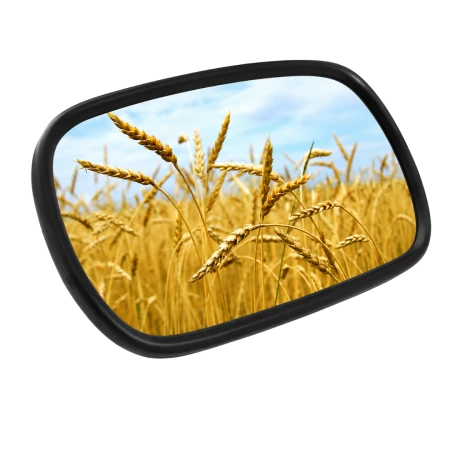 Uniwersalne lusterko do New Holland i Kramer